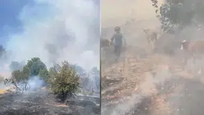 Malatya'da Orman Yangını: Alevler Kısa Sürede Büyüdü, Tahliyeler Başladı