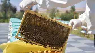 ABB’den Arıcılara Dev Destek! Eğitim, Üretim ve Ar-Ge Aynı Çatıda