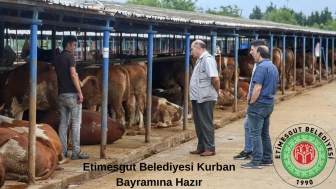 Etimesgut Belediyesi’nden 2025 Kurban Bayramı İçin 9 Ayrı Noktada Kurban Satış ve Kesim Alanı