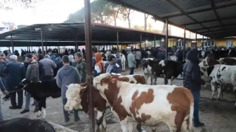 Hayvan Pazarları Ne Zaman Açılacak? Bakanlıktan Net Açıklama Geldi!