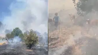 Malatya'da Orman Yangını: Alevler Kısa Sürede Büyüdü, Tahliyeler Başladı