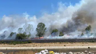 Türkiye’nin Dört İlinde Orman Yangınlarıyla Mücadele Sürüyor
