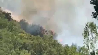Hakkari'de Orman Yangını: Alan Köyü'nde Büyük Tehlike