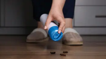 Keçiören’de Sinek Alarmı: Mahalle Sakinleri Çözüm Bekliyor