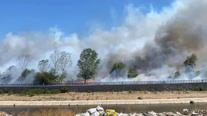 Türkiye’nin Dört İlinde Orman Yangınlarıyla Mücadele Sürüyor