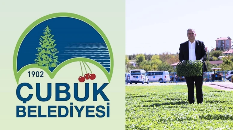 Çubuk Belediyesi, 1 Milyon Sebze Fidesi Dağıttı!