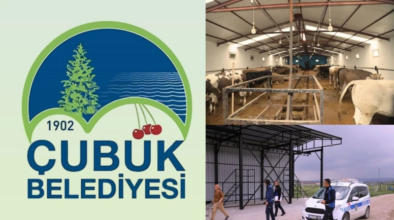 Çubuk Belediyesi, Kurban Bayramı Öncesi Satış ve Kesim Yerlerini Denetledi!
